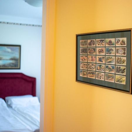 Kiskakas Vendeghaz Daire Székkutas Dış mekan fotoğraf